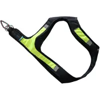 Axaeco X-run Hundesele