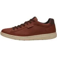 Timberland for man. TB0A5P7QEM61 Portofino Pier brown leather trainers (43), Flat, Laces, Casual