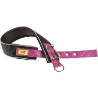 Ferplast Daytona Comfort 40 Mm 45 Cm Hundehalsbånd