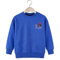 Z8 Collegegenser - Vinz - Elektrisk Blue - - 116 - Collegegenser