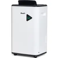 Wood's avfukter MDX20P