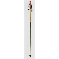 Völkl Phantastick 16mm Poles 2025 Staver grønn