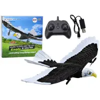 Leantoys fjernstyrt fly Orzel (RC) 2.4G 41 x 28 x 5 cm