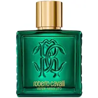 Roberto Cavalli Verde Assoluto Pour Homme - Eau De Parfum 100 ml