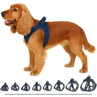 Flamingo Step&go Bento Hundesele