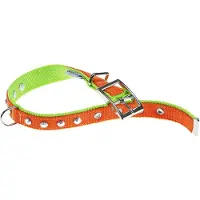 Ferplast Dual 25 Mm 45 Cm Hundehalsbånd