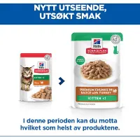 Hill's Pet Nutrition Kitten - Kalkun (12 x 85 g)