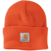 Carhartt Iconic A18 Watch Lue