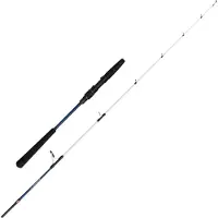 Penn Battalion Iii S Jigging Stang