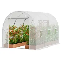 OEM Drivhus med walk-in-tunnel 2,9x2x1,9 m galvanisert ramme PE-deksel hvitt