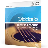 D'Addario EJ16 Phosphor Bronze Light 12-53