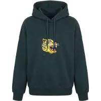 Volcom Fa Ozzy 2 Hettegenser grønn