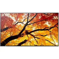 NEC MultiSync PN-M652 - 65 Diagonalklasse M2 Series LED-bakgrunnsbelyst LCD-skjerm - intelligent skilting - 4K UHD (2160p) 3840 x 2160 - Direct LED - svart