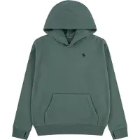 Abercrombie & Fitch Hettegenser - Laurbærkrans - - 15-16 år (170-176) - Hettegenser
