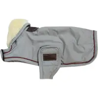 Kentucky Wp Hundegenser