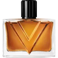 Valentino Vendetta Uomo Eau de Parfum 90 ml