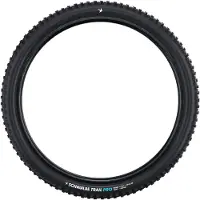 Schwalbe Romy Gravity Pro Soft Radial Tubeless 29´´ X 2.50 Mtb-dekk
