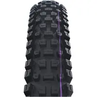 Schwalbe Albert Gravity Pro Ultra Soft Radial 2026 Tubeless 29´´ X 2.50 Mtb-dekk