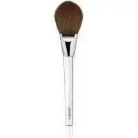 Clinique Powder Foundation Sminkekost