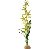 Hagen Kunstig plante - Orchid Spider Orchid