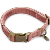 Designed By Lotte Velura Hundehalsbånd