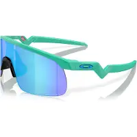 Oakley Resistor Solbriller