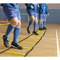 Precision Indoor Agilitystige 4 M
