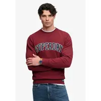Superdry Athletic Applique Relaxed Collegegenser