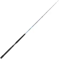 Daiwa Tanacom Boat Bunn Fiskestang
