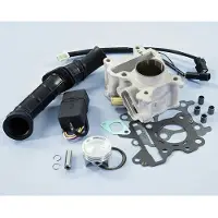 Polini Yamaha Aerox 50 4t Sylindersats