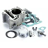 Polini 140.0238 Sylinder
