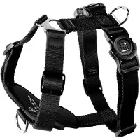 My Family Memopet H Adjustable Hundesele