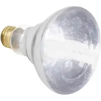 Zoo med Halogen Varmelampe For Reptiler