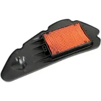 Champion Parts Caf0126 Luftfilter