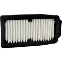 Champion Parts Caf2202 Luftfilter