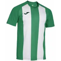 Joma Inter Iv Kortarmet T-skjorte