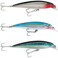 Rapala X-rap Saltwater Minnow 13g 100 Mm