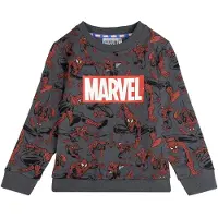 Marvel Spiderman Collegegenser