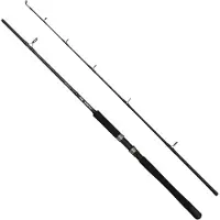 Dam Iconic2 Sw Boat Spinnestang