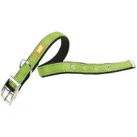 Ferplast Dual 25 Mm 45 Cm Hundehalsbånd