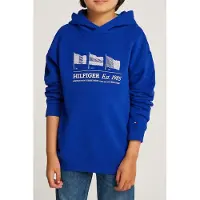 Tommy Hilfiger Waving Flag Hettegenser