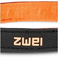 Zwei Leo Le10 Hundebånd