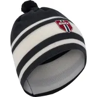 Swix Tradition Light Lue