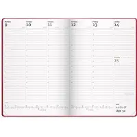 Mayland City Diplomat ugekalender rød vinyl 2027