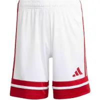 Adidas Squadra 25 Shorts
