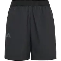 Adidas Terrex Multi Clima365 Shorts