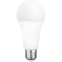 Matel Standard E27 Cool 24w Led-pære