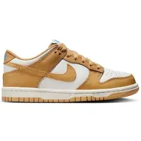 Nike Dunk Low Bg Treningssko