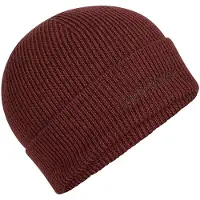 Icebreaker Mer All Day Toque Lue