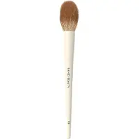 Sanzi Beauty Blush Brush 05